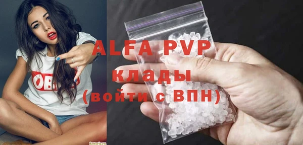 стафф Алексин