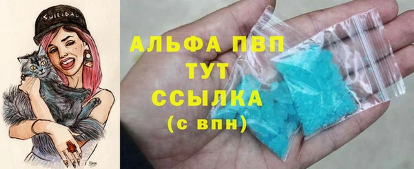стафф Алексин