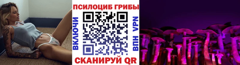 Галлюциногенные грибы MAGIC MUSHROOMS  где можно купить   Черкесск 