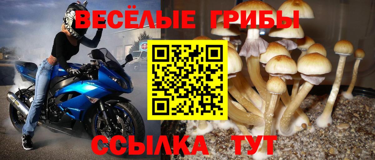 Черкесск  Галлюциногенные грибы Cubensis  как найти закладки  Вход с VPN  Псилоцибиновые грибы Magic Shrooms 