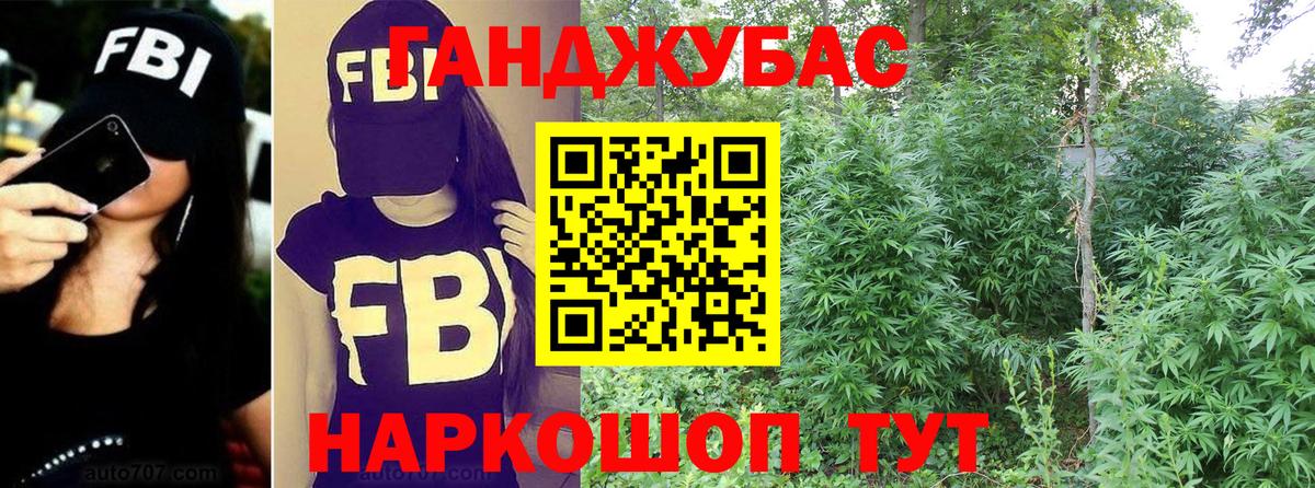 Бошки марихуана план  Марихуана THC 21%  Вход с VPN  Бошки марихуана OG Kush  Черкесск 